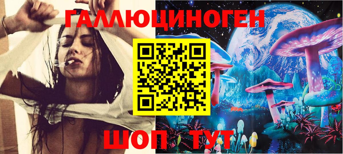 Псилоцибиновые грибы мицелий Гатчина