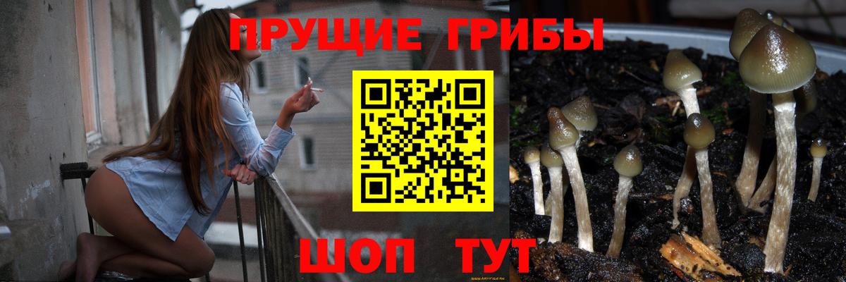 Галлюциногенные грибы Psilocybine cubensis  Псилоцибиновые грибы мухоморы  где продают   Гатчина  Вход с VPN 